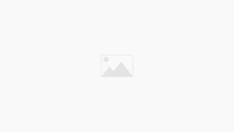 1º de julho: um dia para novos começos e celebrações